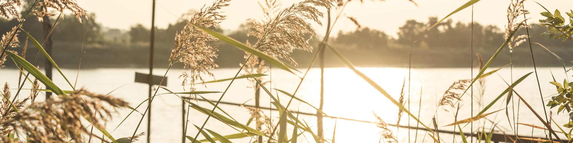 Bords de Garonne - Margaux