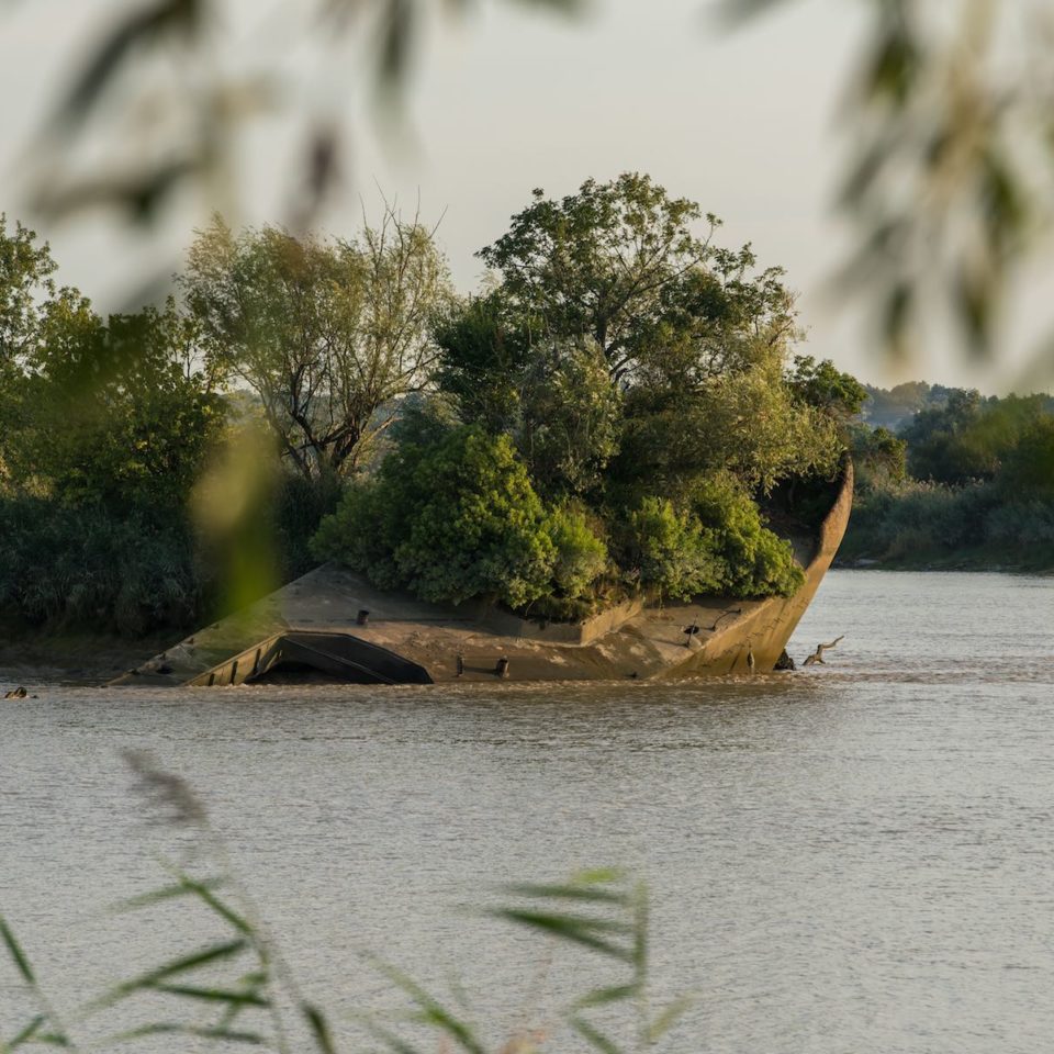 Entre la végétation du Port d'Issan